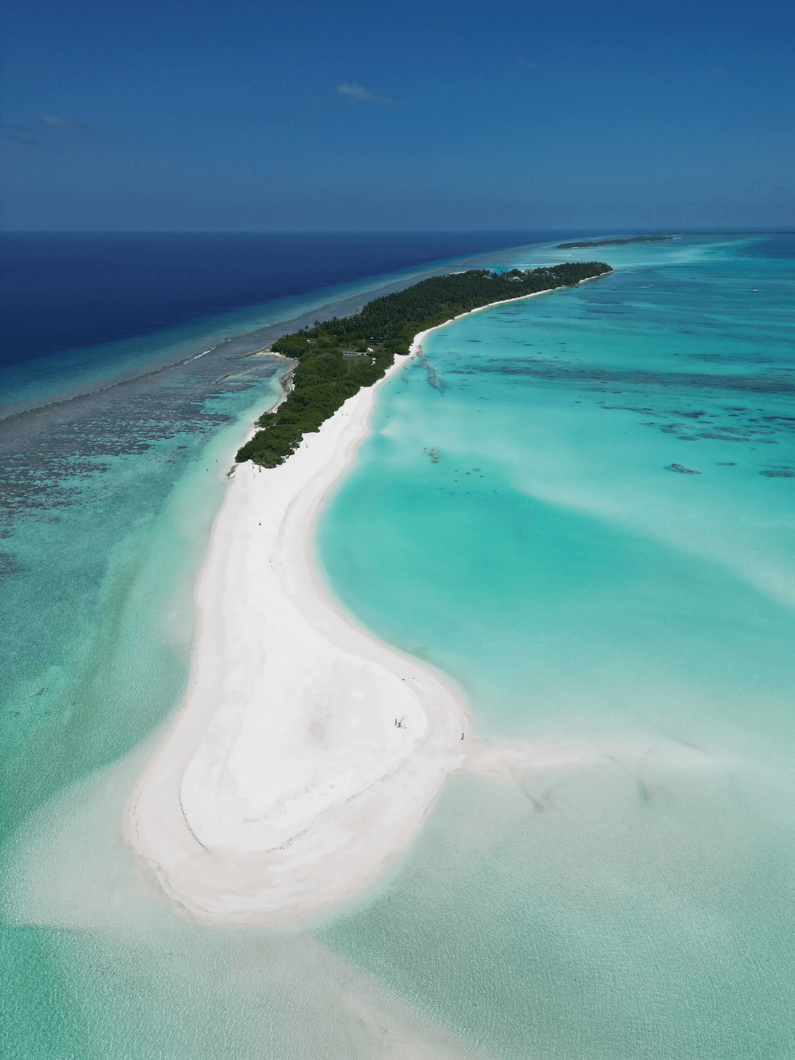 Caribbean Paradise