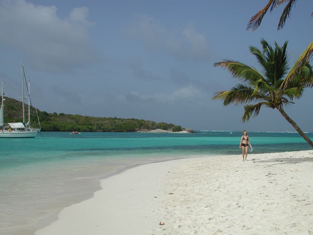 Palm Island Beach