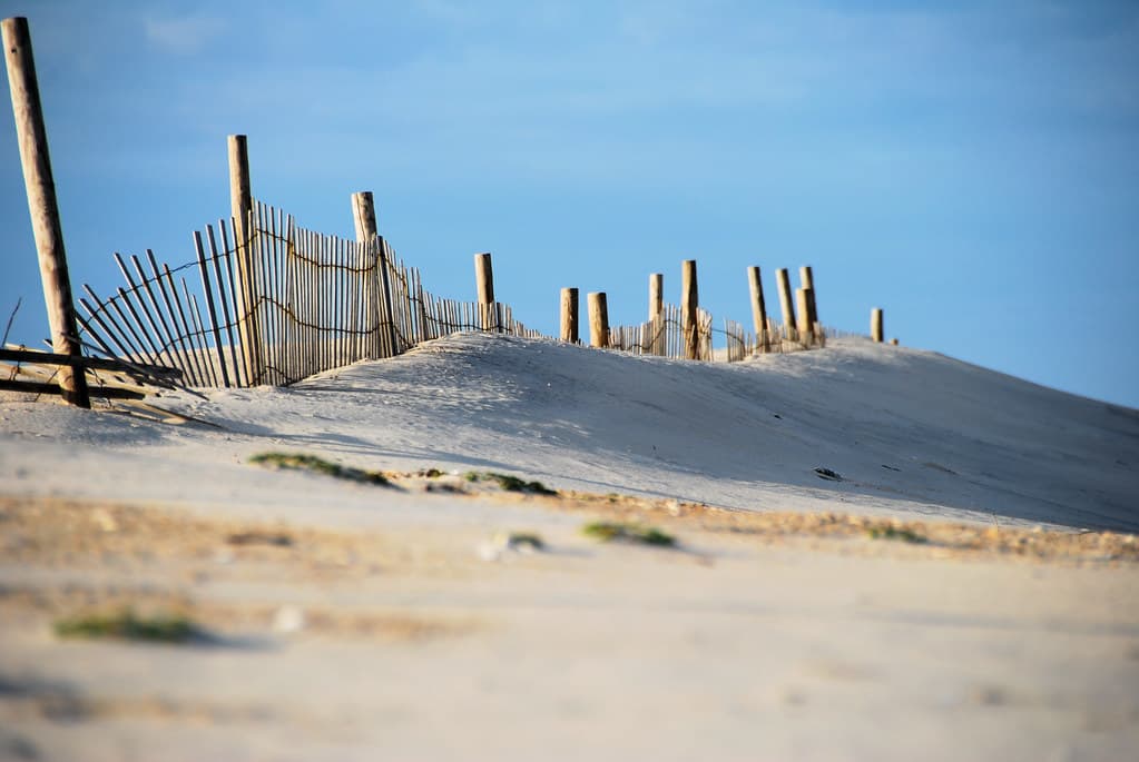 Backcountry Shore Beach view 2