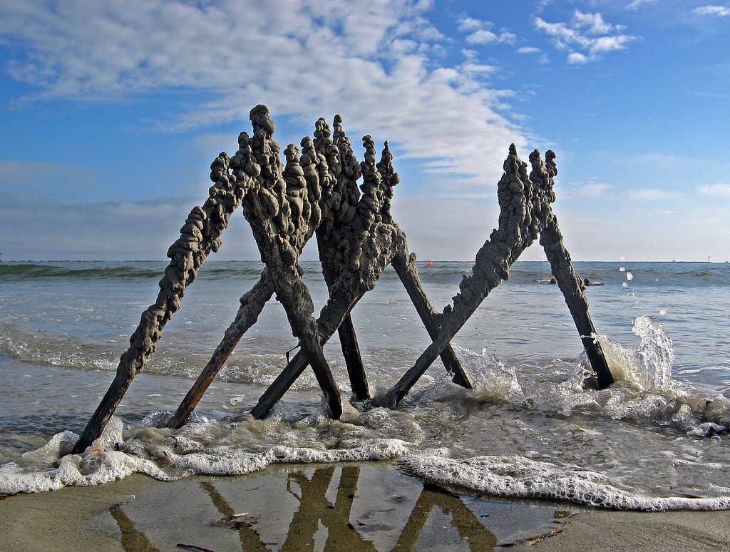 Fishermens Memorial State Park Shore — photo by sandcastlematt