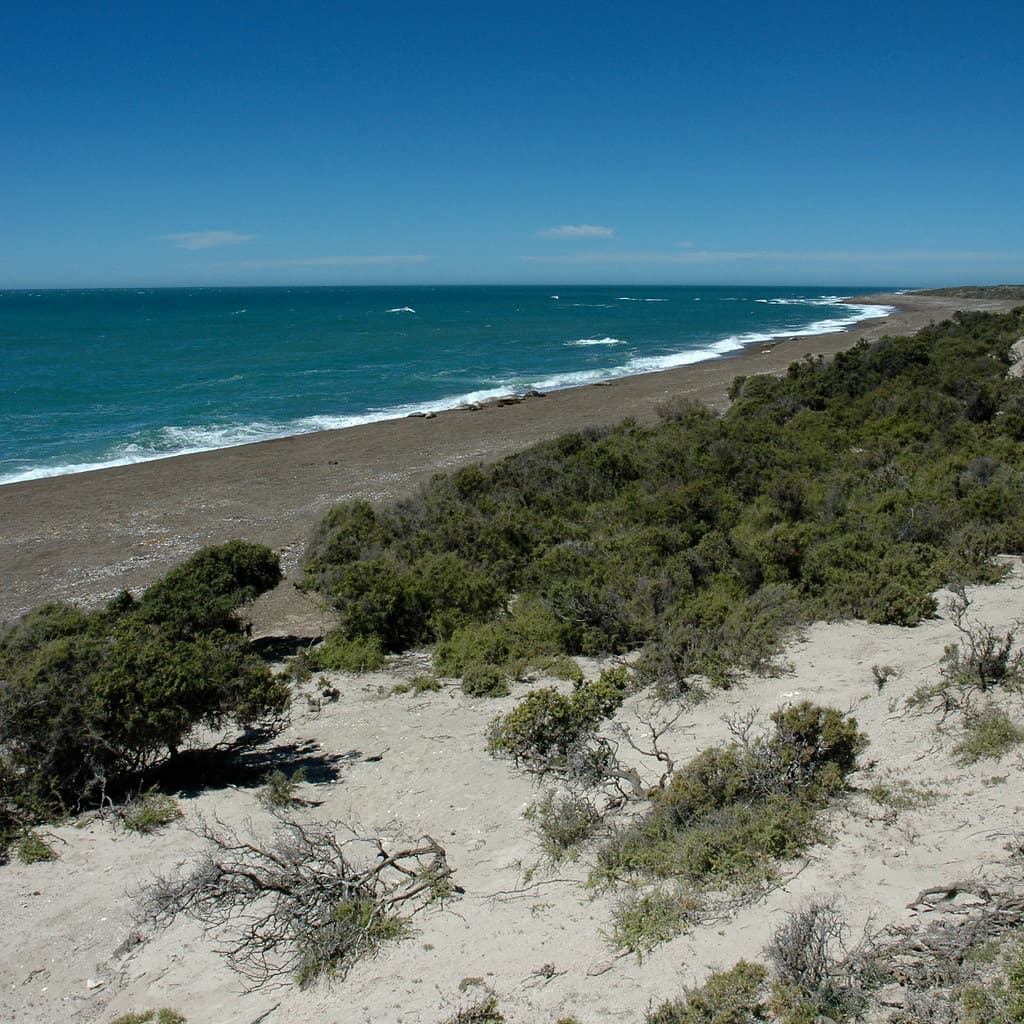 Playa El Riacho view 2
