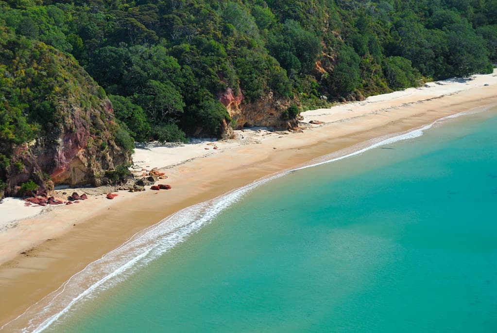 Whangapoua Beach
