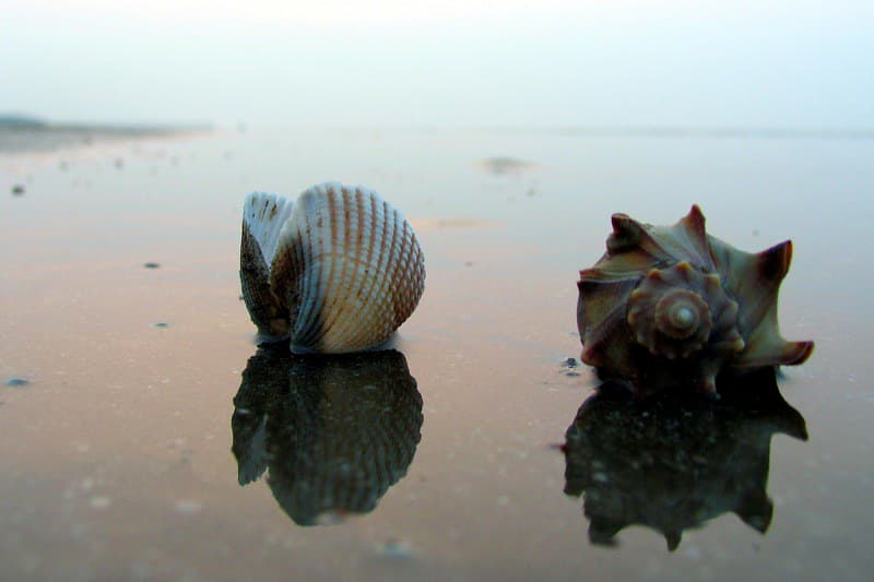 Big Shell Beach