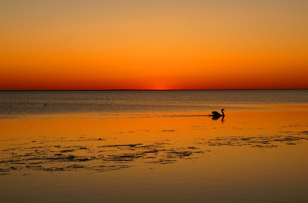 Kleva Beach