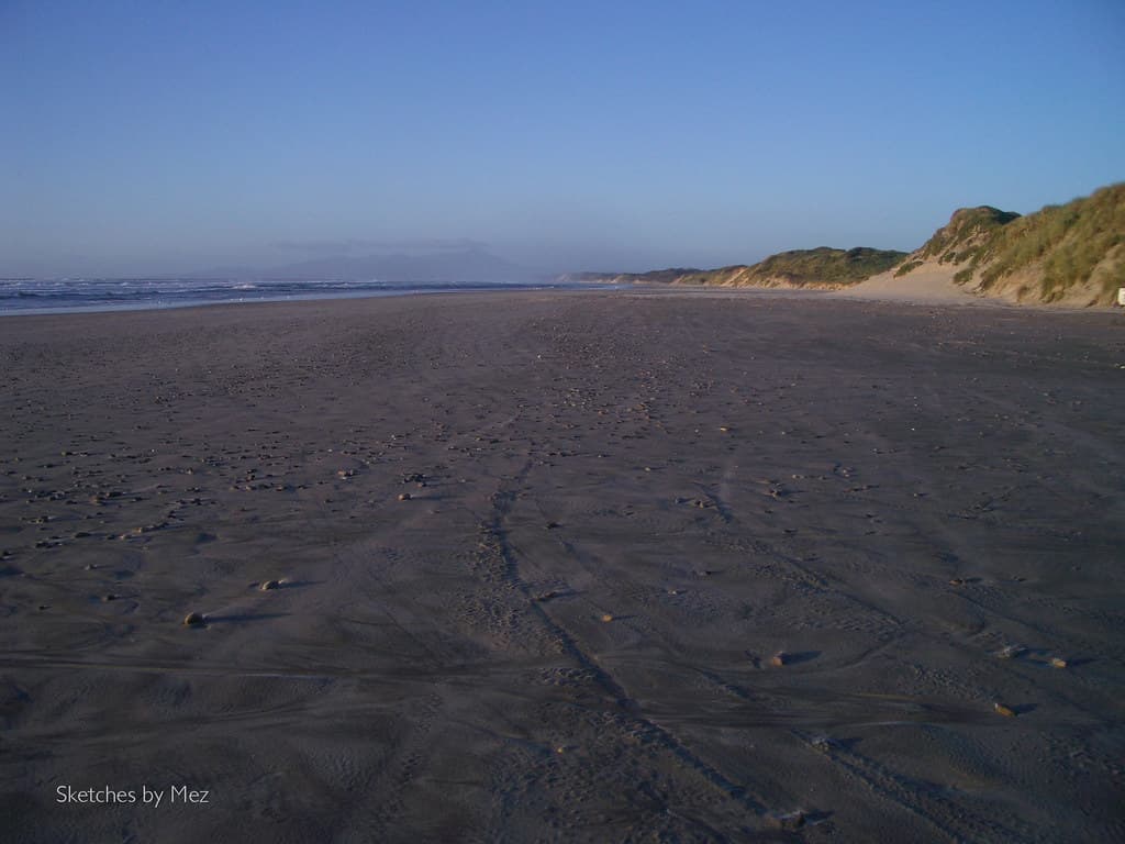 Henty Dunes Beach view 2