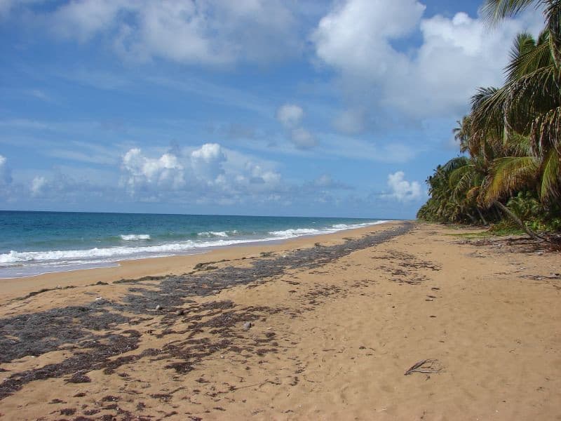 Playa Lucía view 3