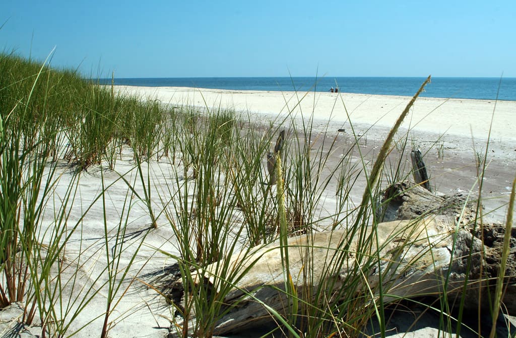 Cherry Grove Beach