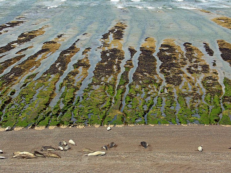 Playa Punta Cantor