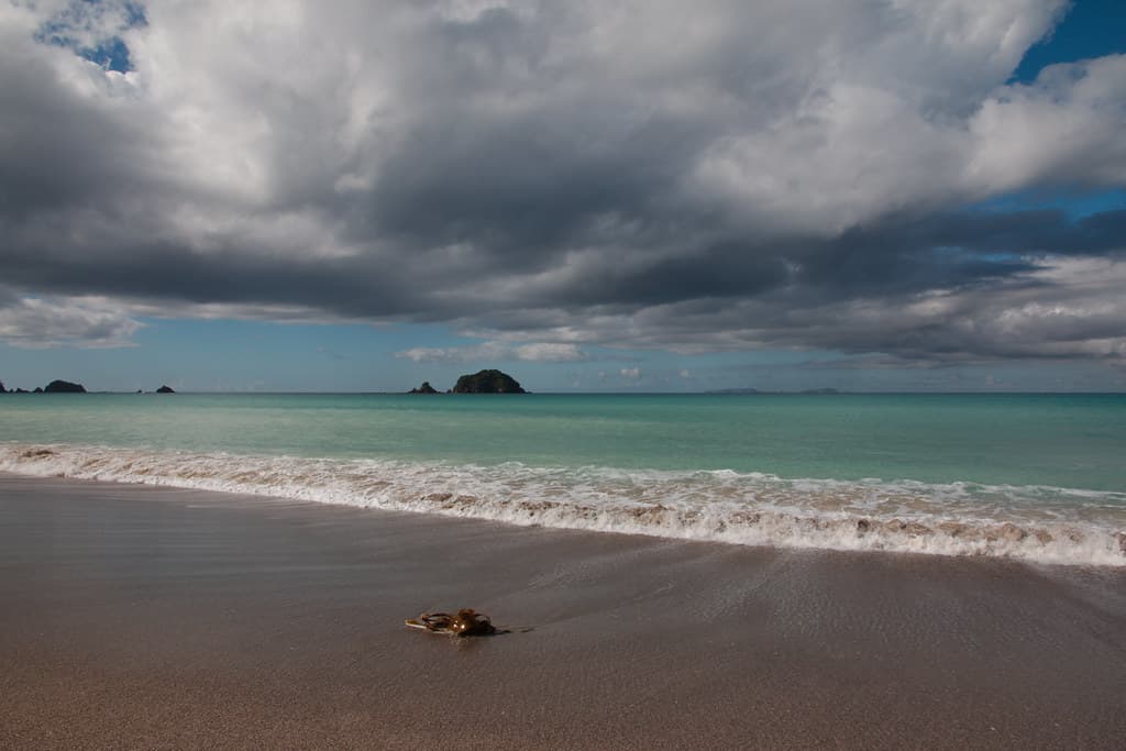 Mimiwhangata Beach