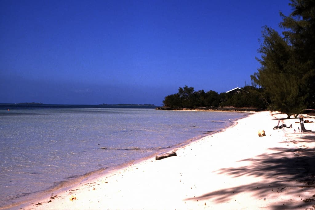 Man-O-War Cay Beach