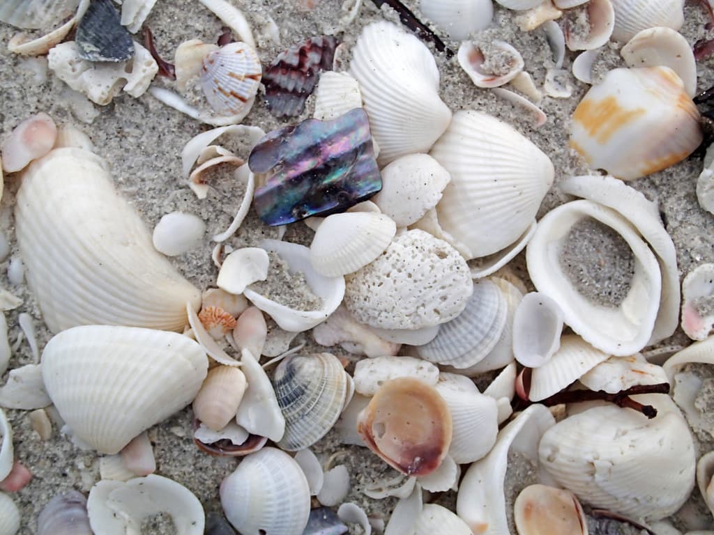 Anclote Key Beach view 3