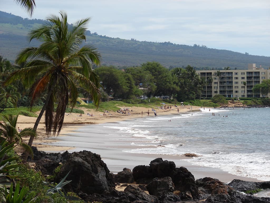 Charley Young Beach