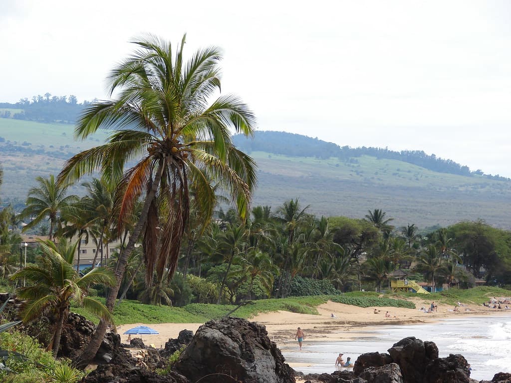 Charley Young Beach view 2