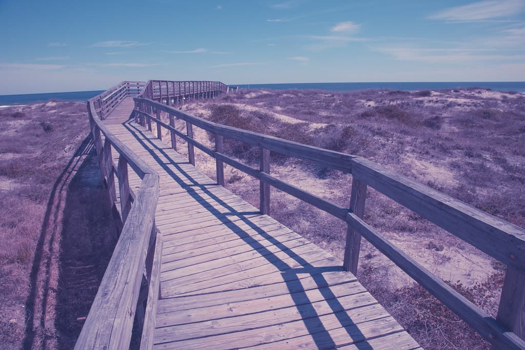 Little Talbot Island Beach