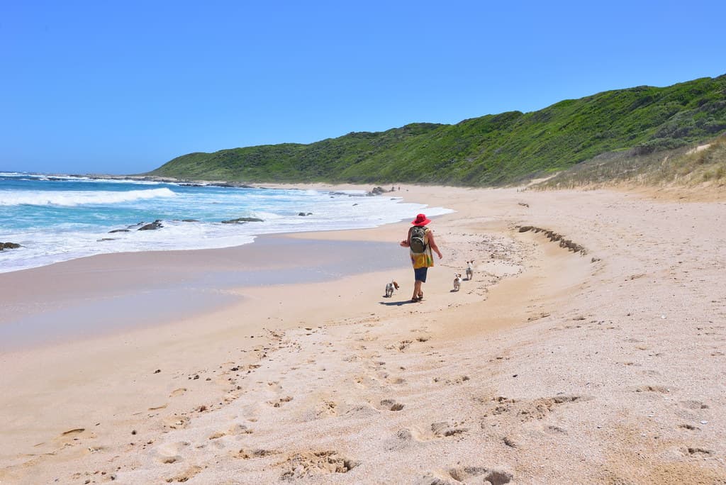 Schoenmakerskop Beach