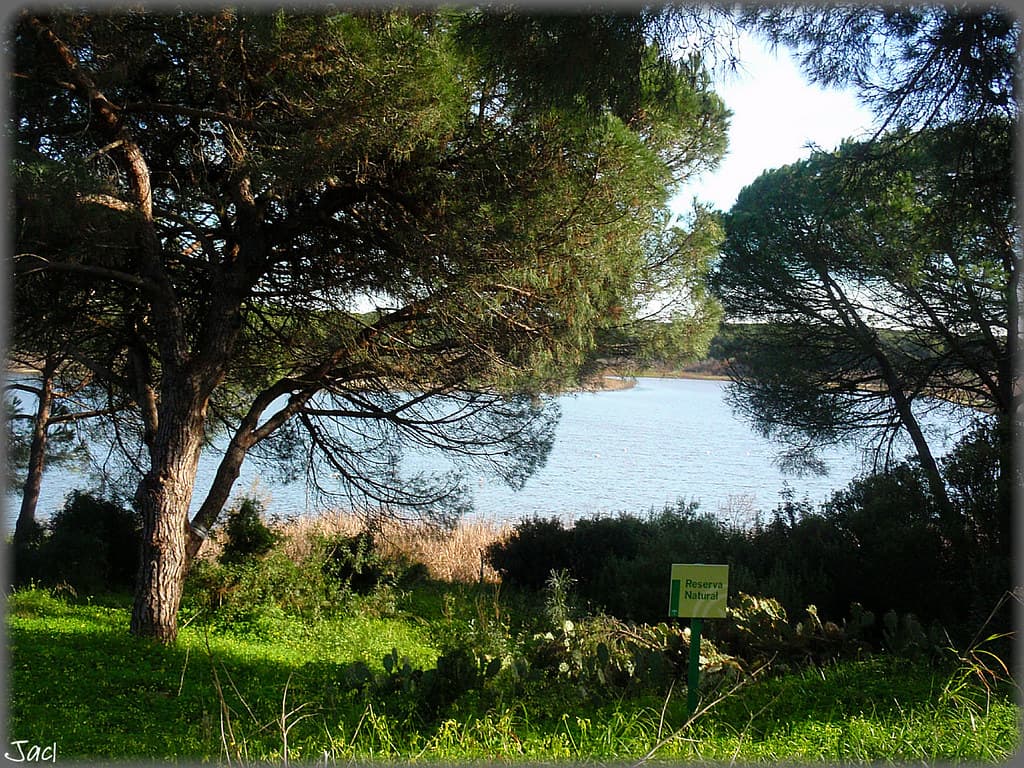 Playa Los Pinos