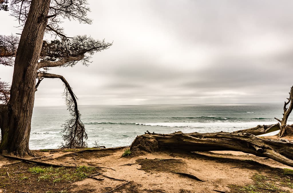 Fitzgerald Marine Reserve Beach