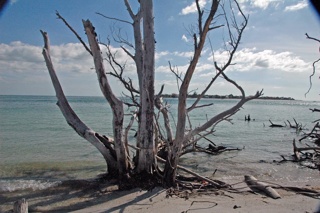 Beach 9 (Pine Tree Beach)