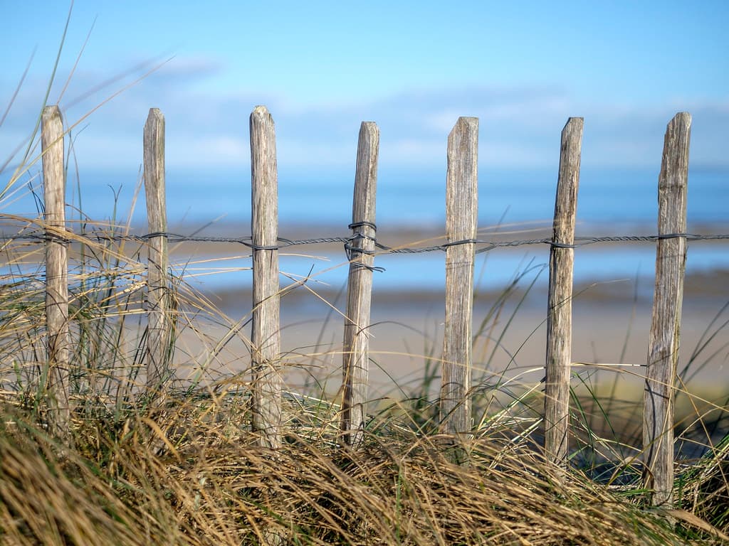 Wissenkerke Coast Beach