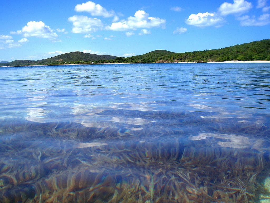 Playuela Beach view 2