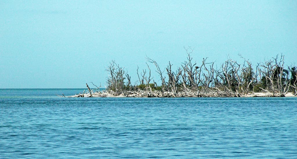 Pine Beach (Gulf State Park) view 3