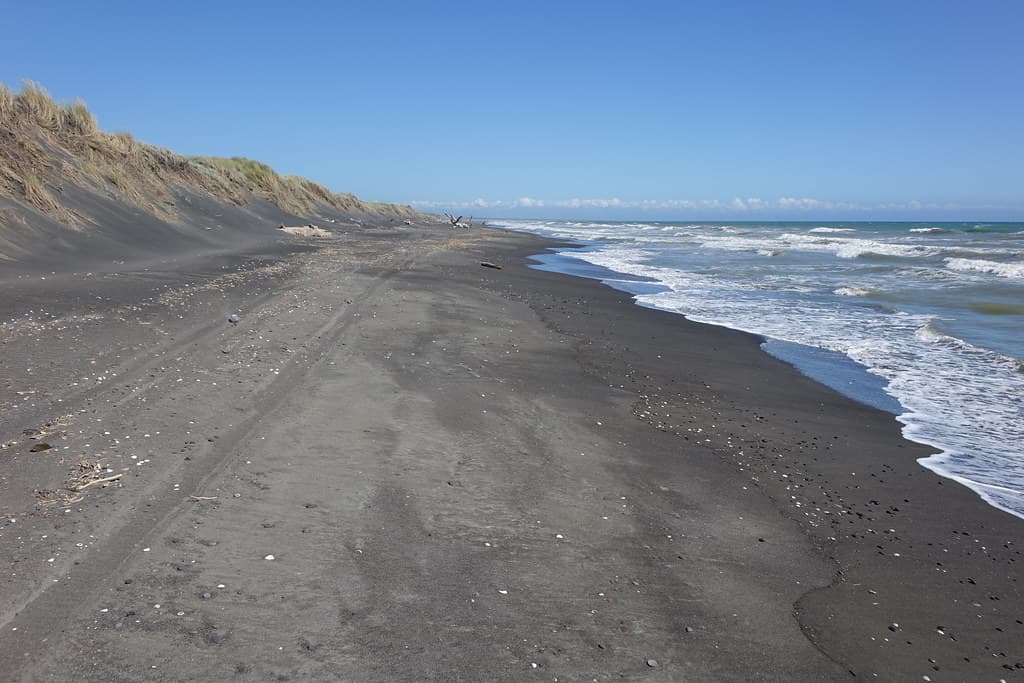 Scotts Ferry Beach