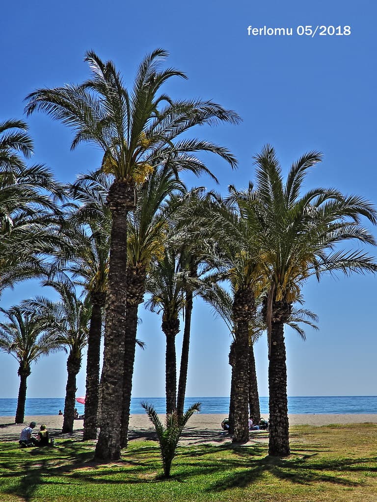 Playa de la Carihuela view 2