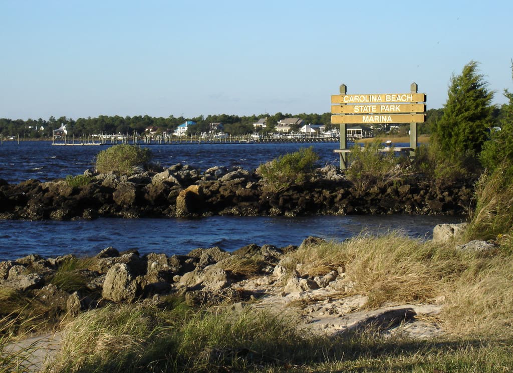Carolina Beach State Park Shore view 2