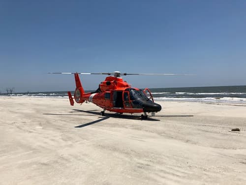 Dolphin Beach (Tybee Island)