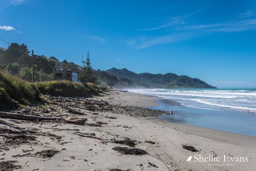 Waipiro Bay, East Coast
