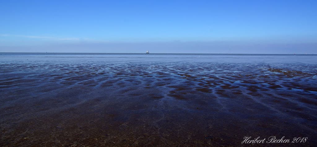 Midlum Wadden Shore view 2