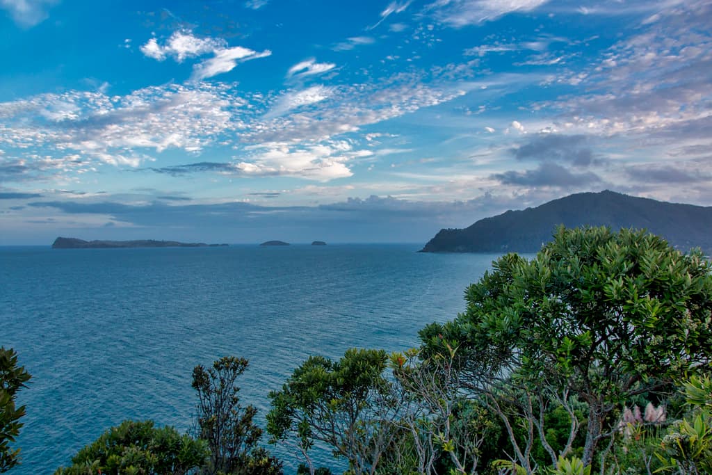 Penguin River Beach