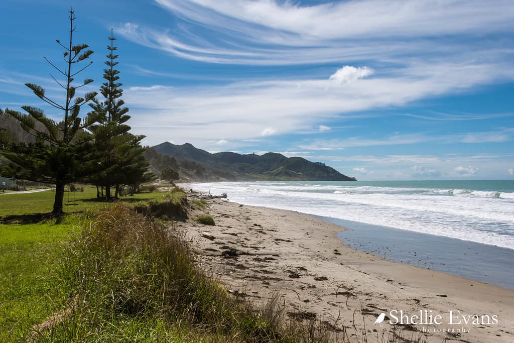 Waipiro Bay, East Coast