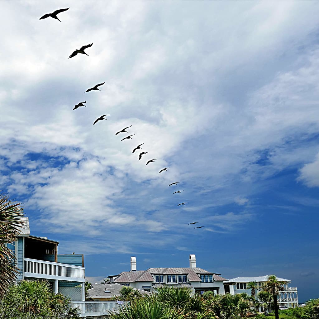 North Beach (Tybee Island) view 3