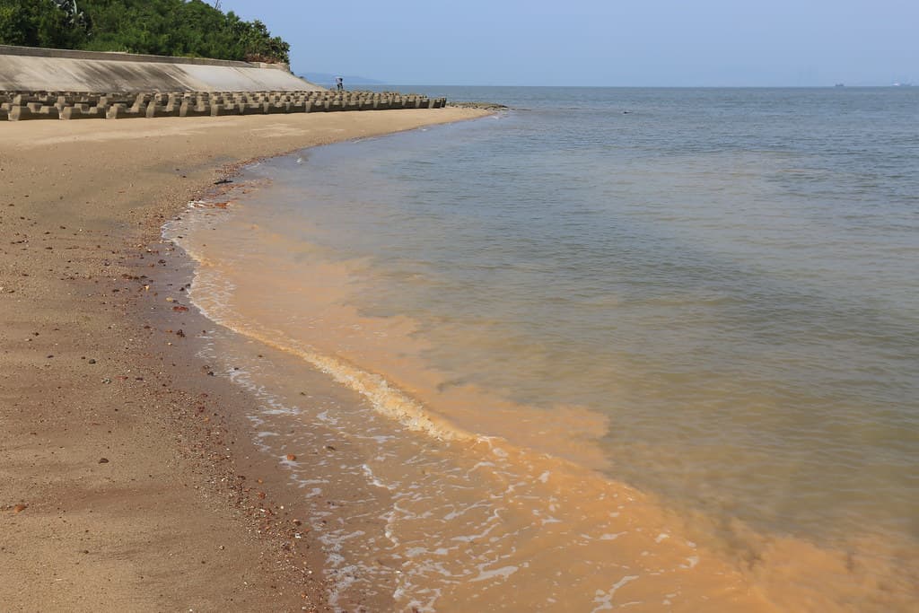 Hidden Shuitou Cove