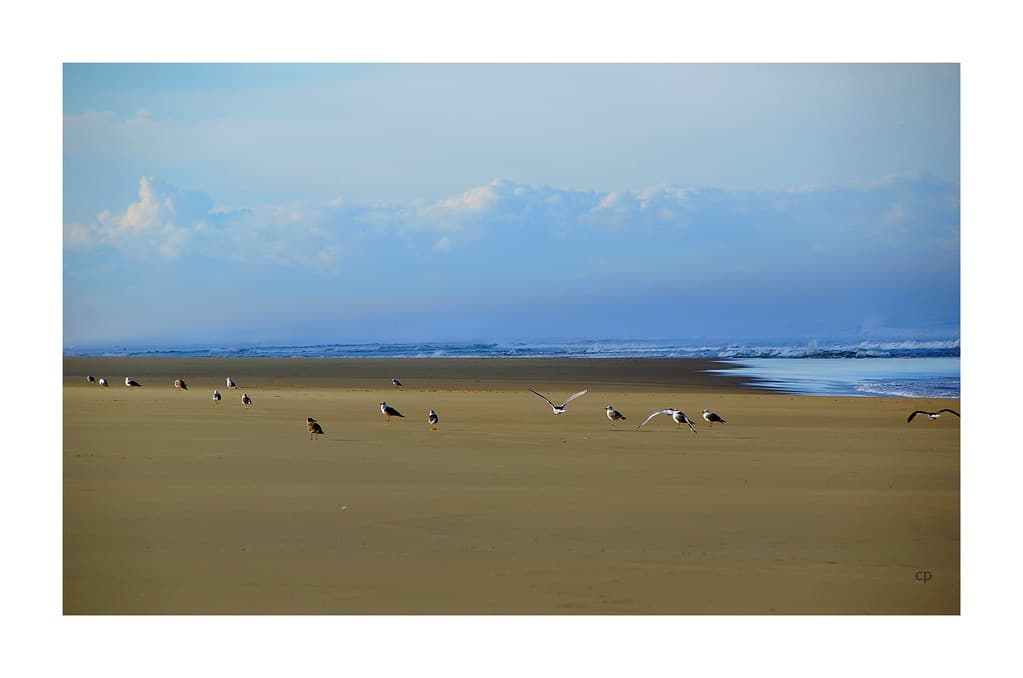 Plage du Courant view 2