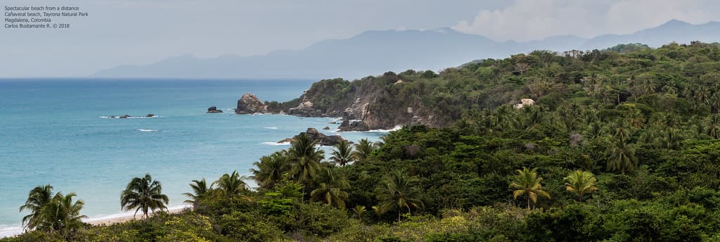 Playa Los Naranjos