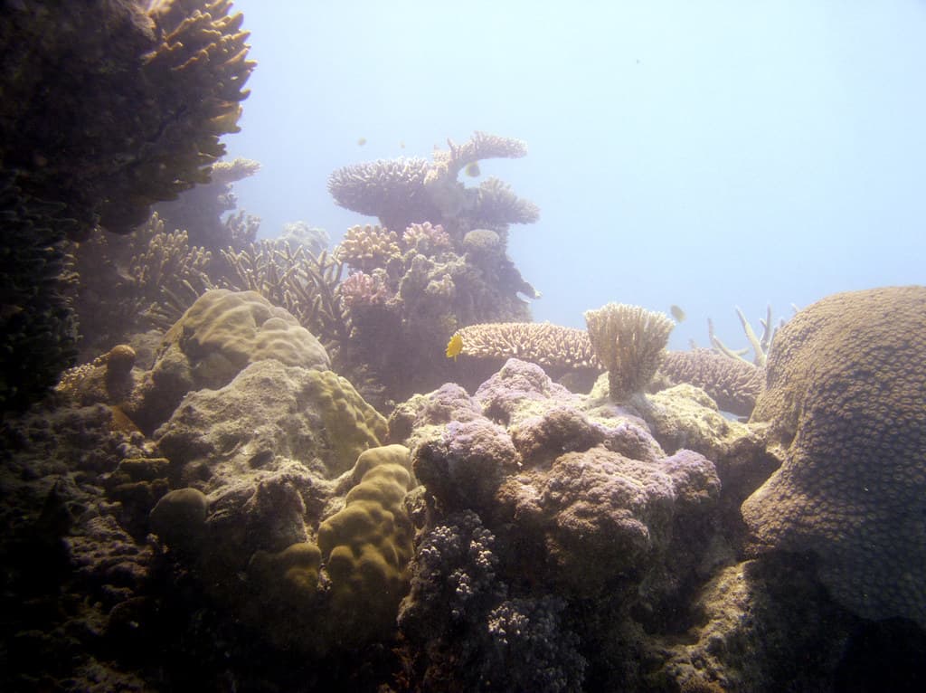 Great Barrier Reef