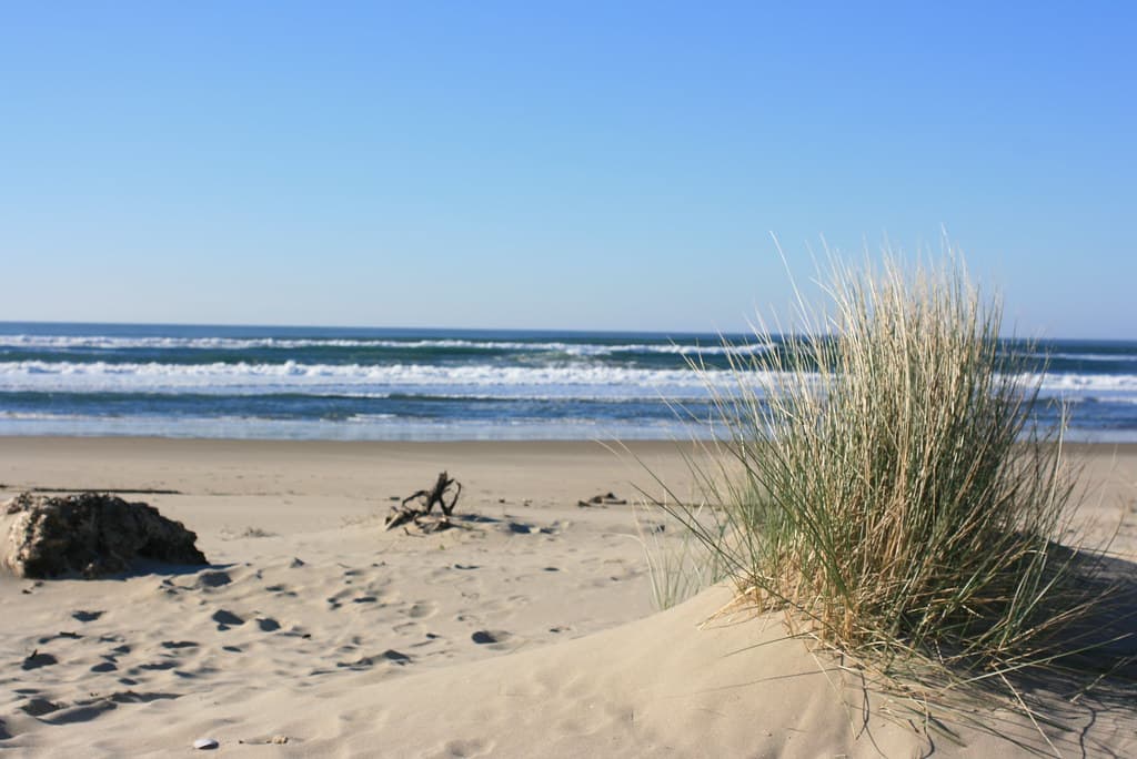 Umpqua Beach