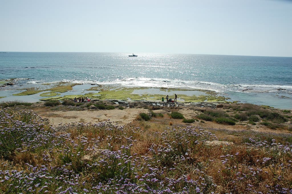 Alma ash Shaab South Cove view 3
