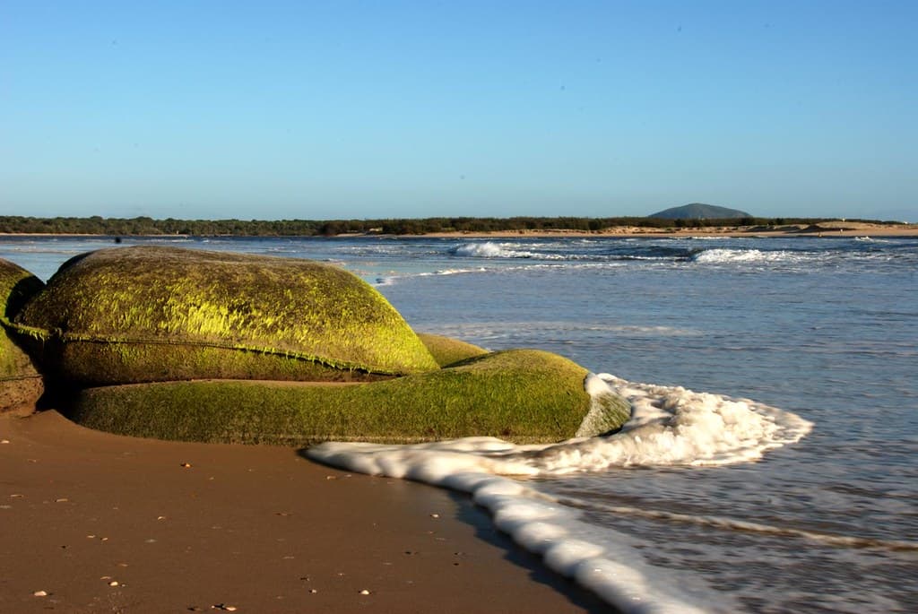 Maroochydore Beach view 2