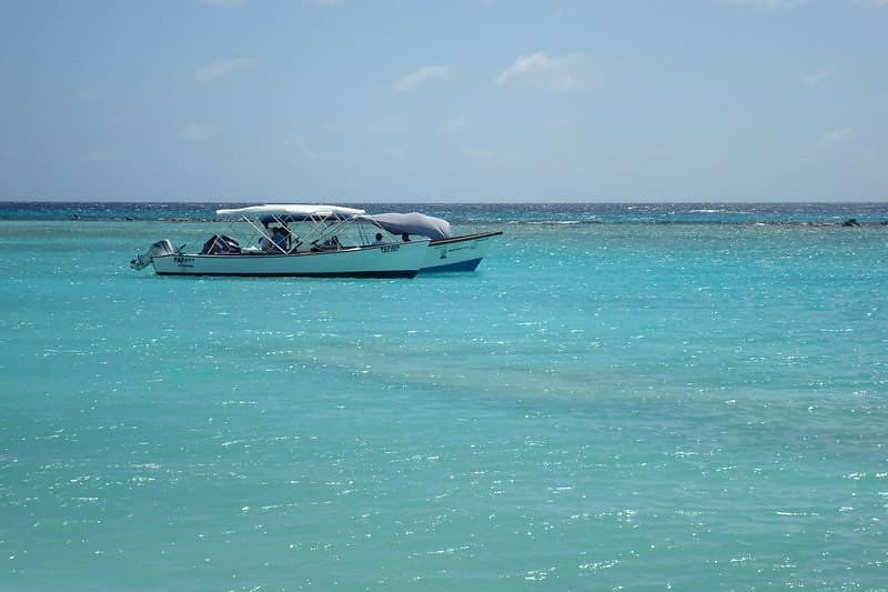 Tamar Island Beach
