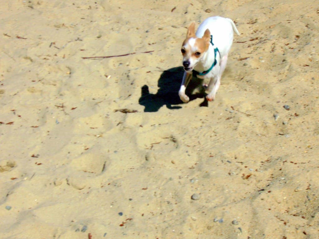 Playa Monte León