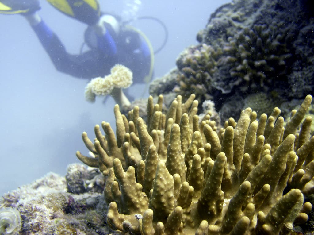 Great Barrier Reef