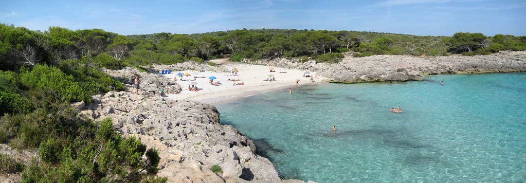 Cala en Bosch