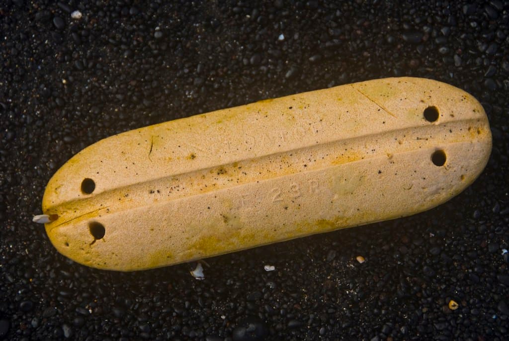 Flotsam washed up on Wai'anapanapa Black sand beach