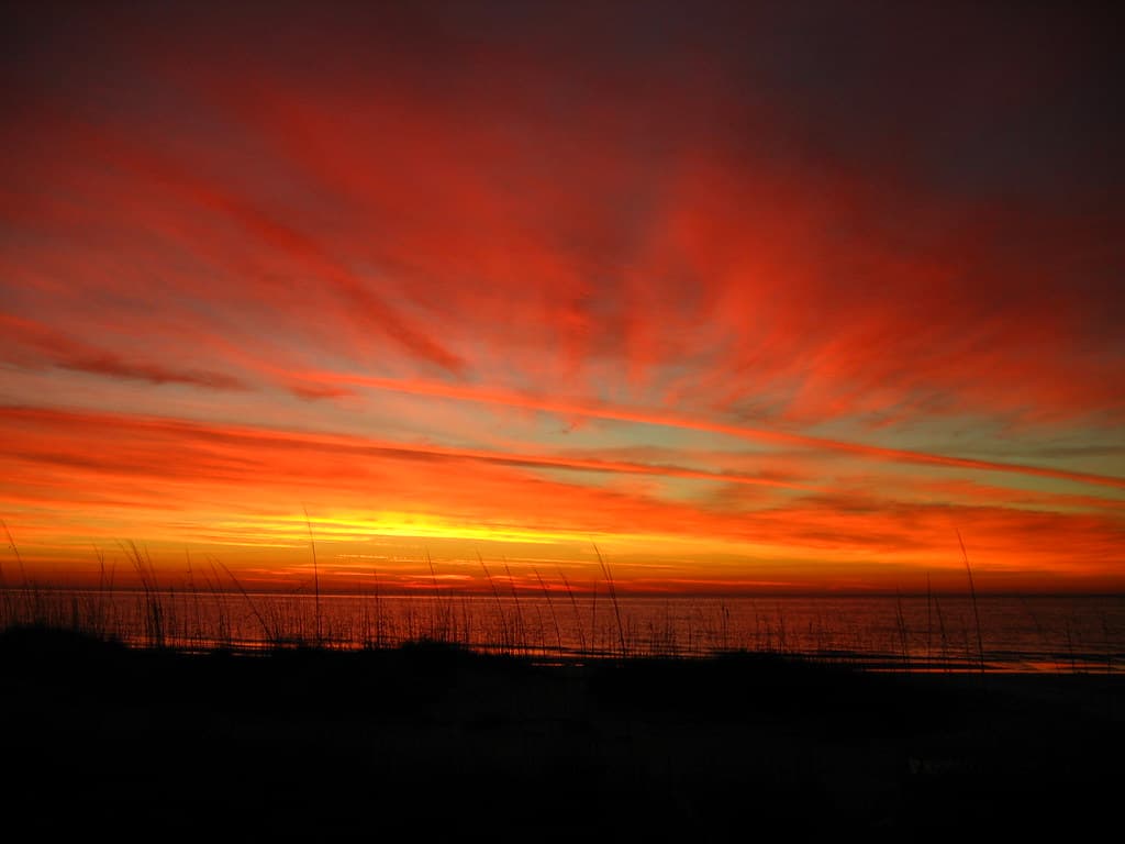 Yellow Patch Beach view 2