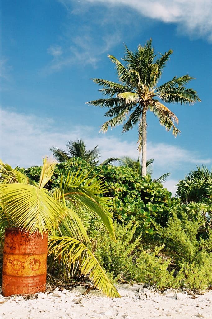 Plage de Tahiti