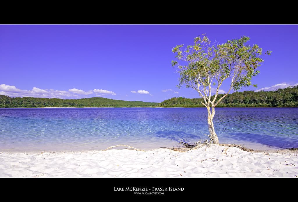 Lake McKenzie Beach