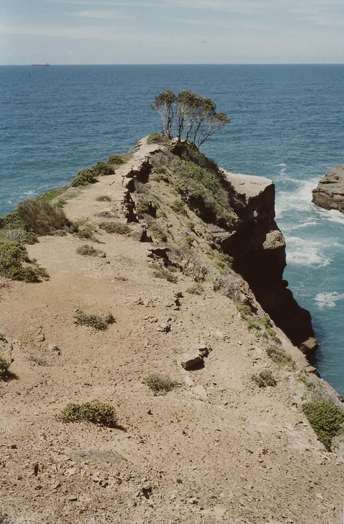 Snapper Point, Frazer Beach, Munmorah State Conservation Area, Central Coast NSW